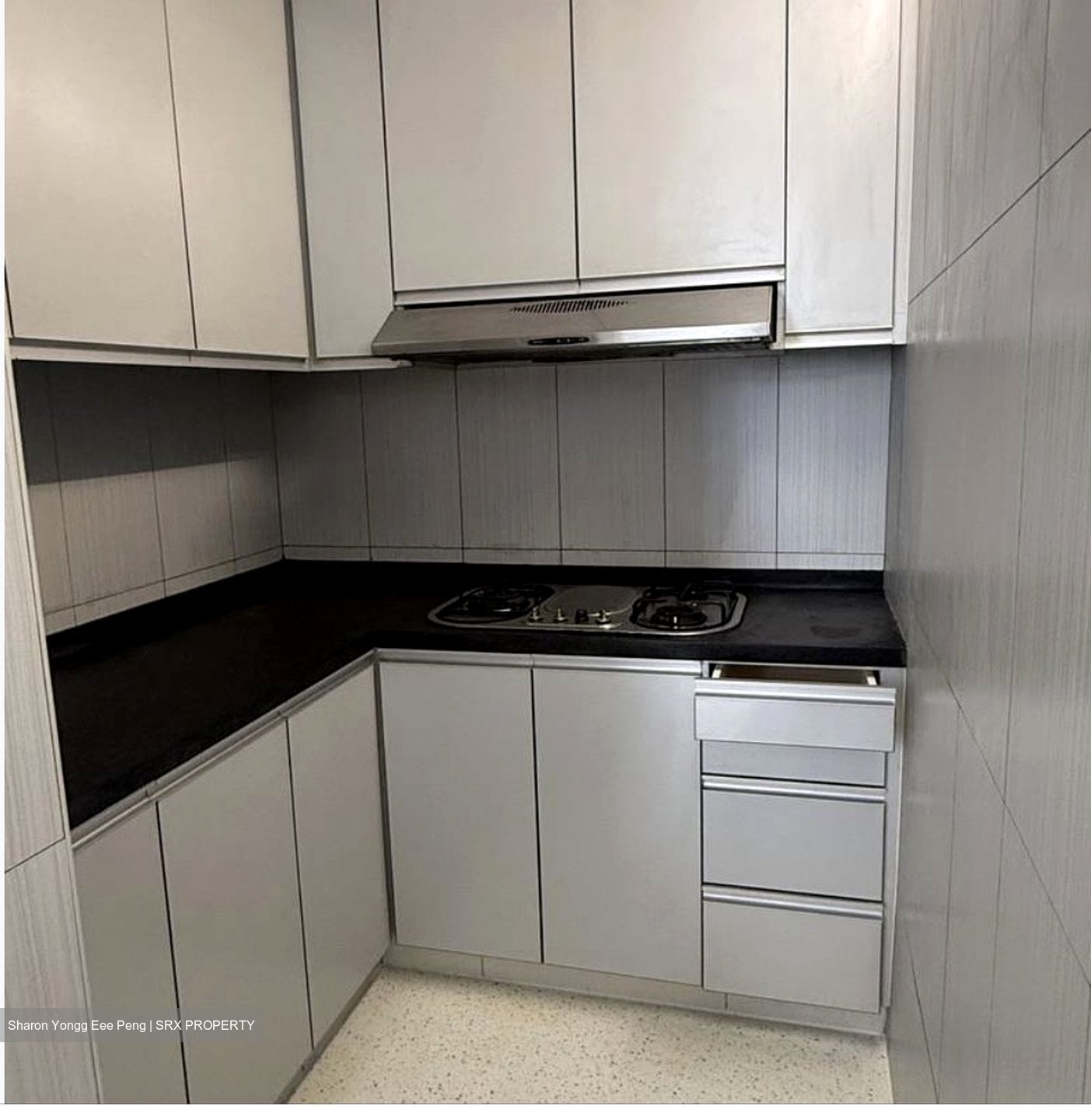 Evergreen View (D14), Apartment #555472051